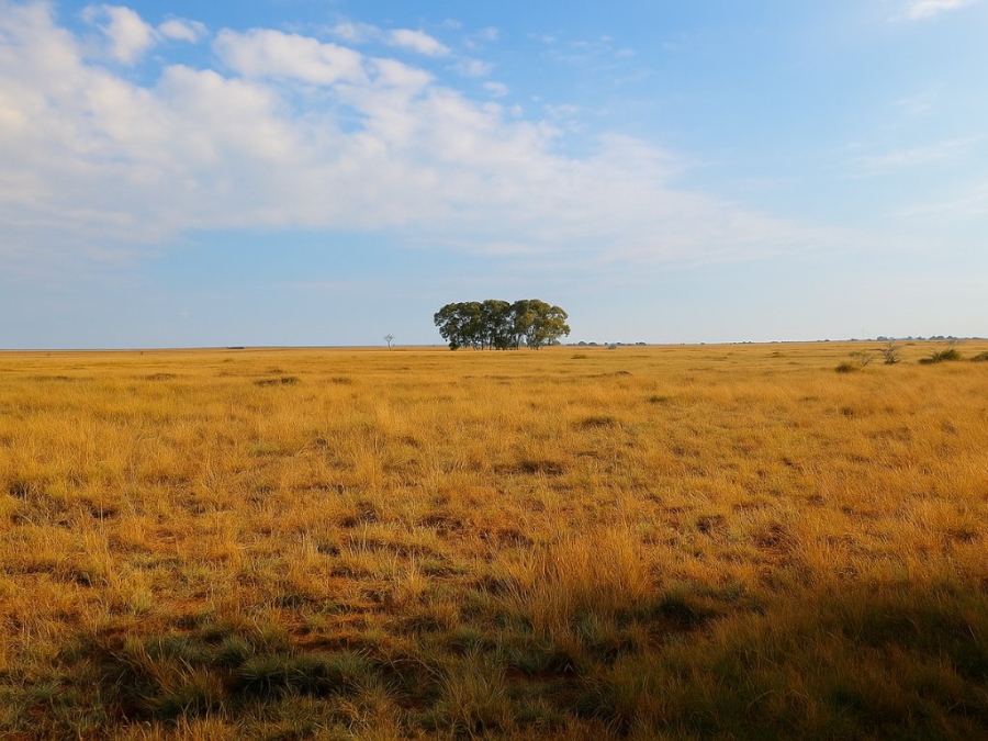  Bedroom Property for Sale in Bloemfontein Rural Free State